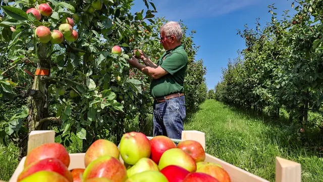 Landwirtschaft in Kroatien: Preise steigen, während sie in Europa fallen